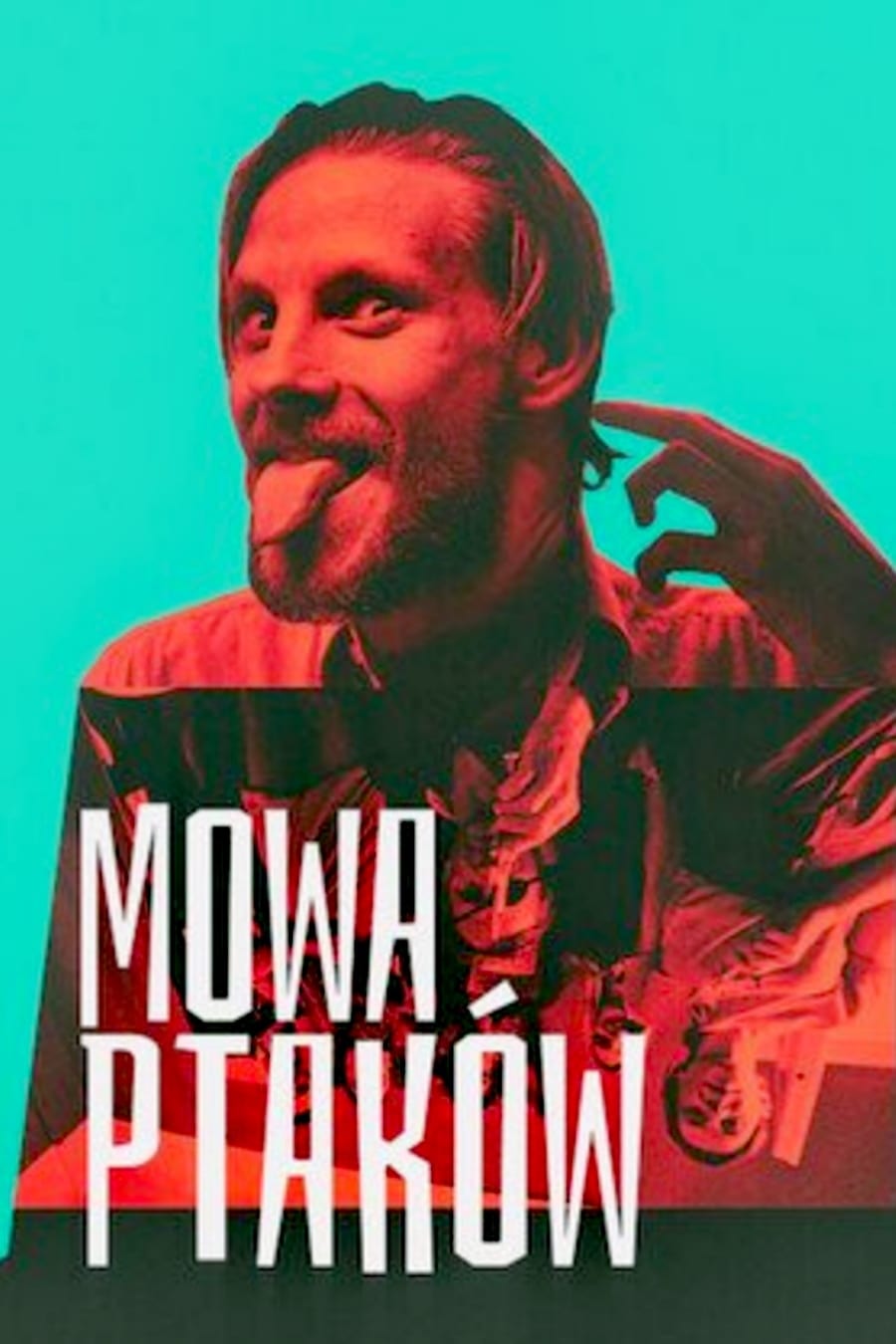 постер Mowa ptakow